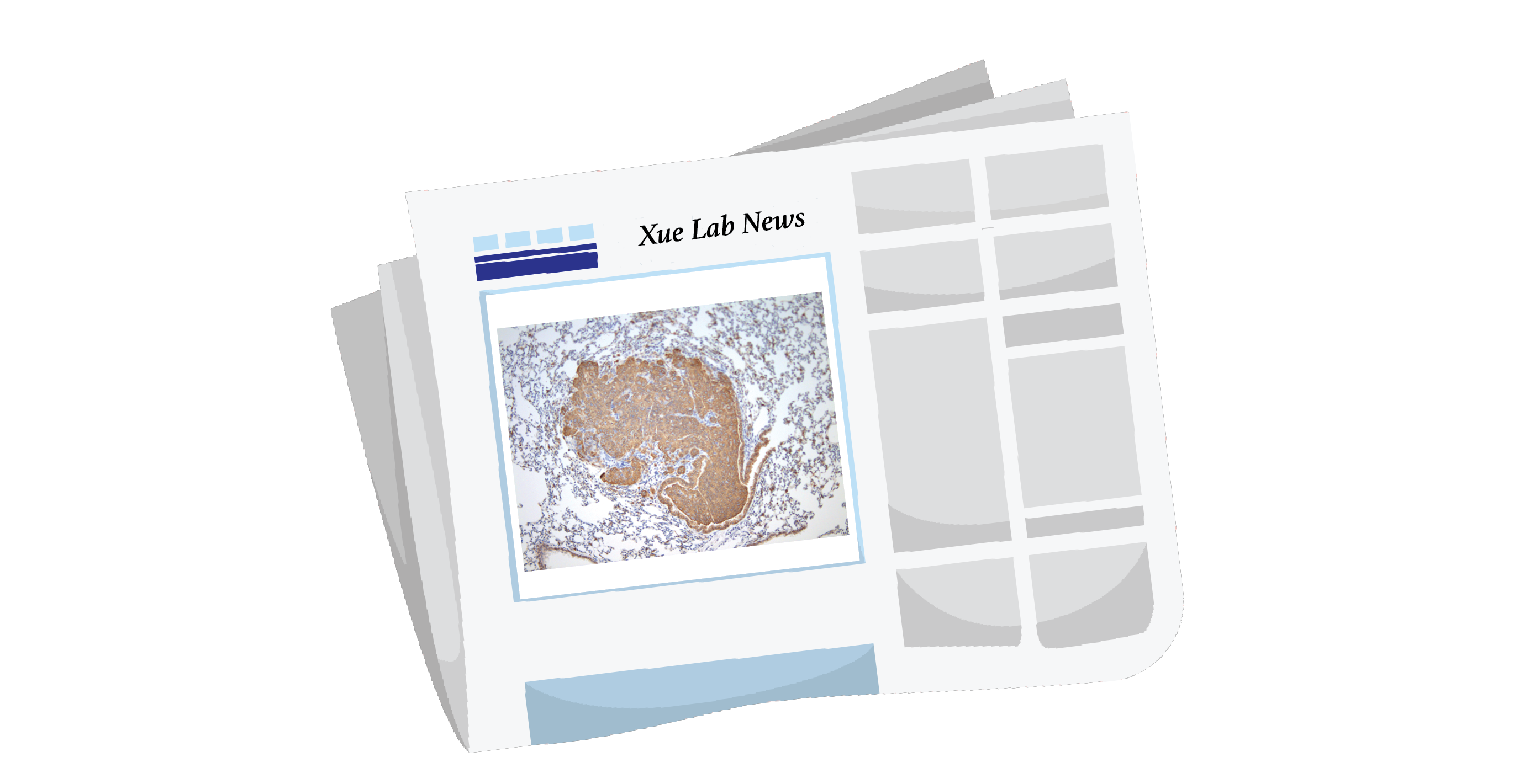  Xue News Block.png