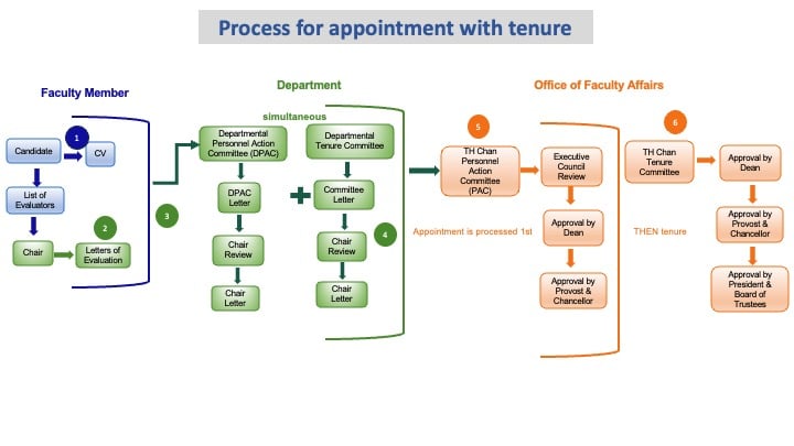 Faculty appointment with tenure diagram