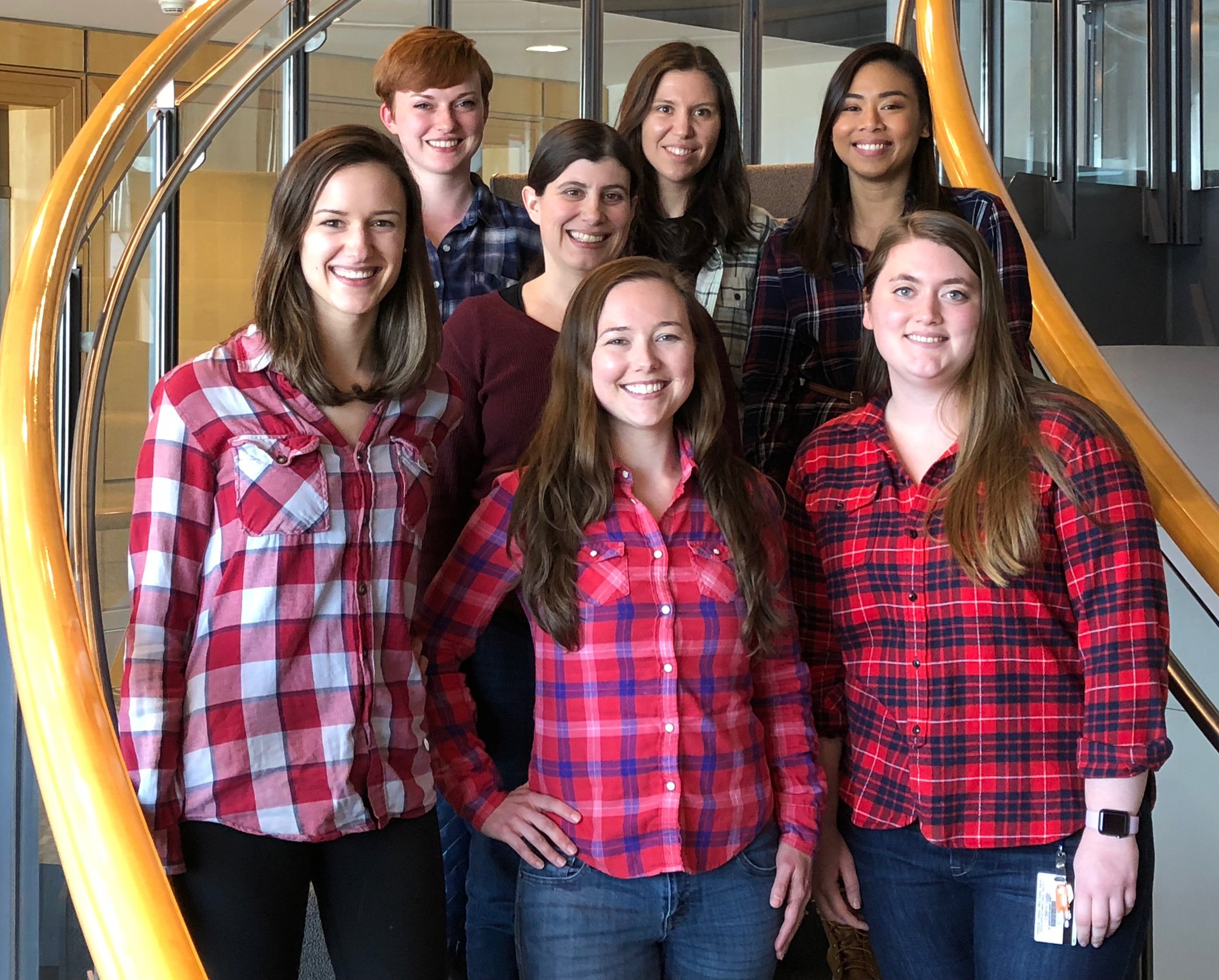 lab plaid 2018