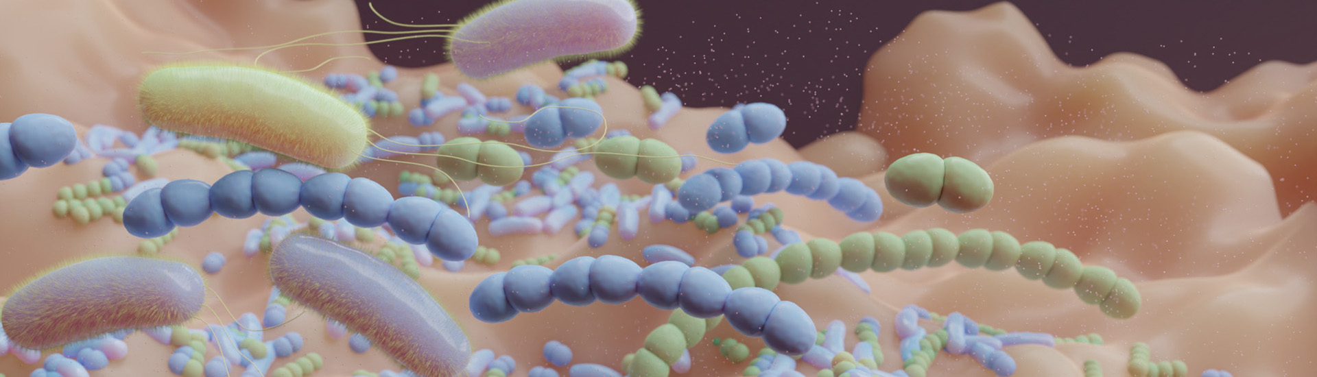 bmb biochemical mechanisms hero illustration.jpg