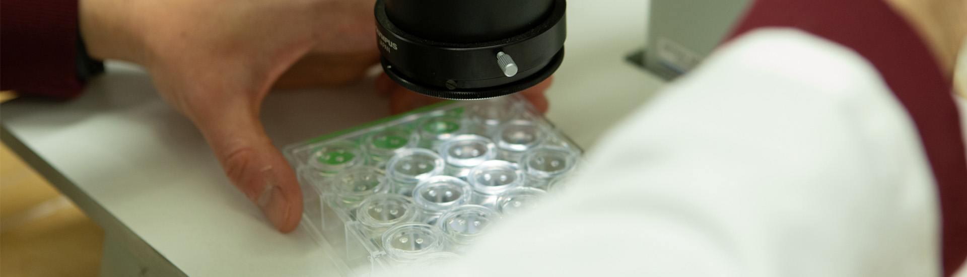 bmb research hero plate.jpg