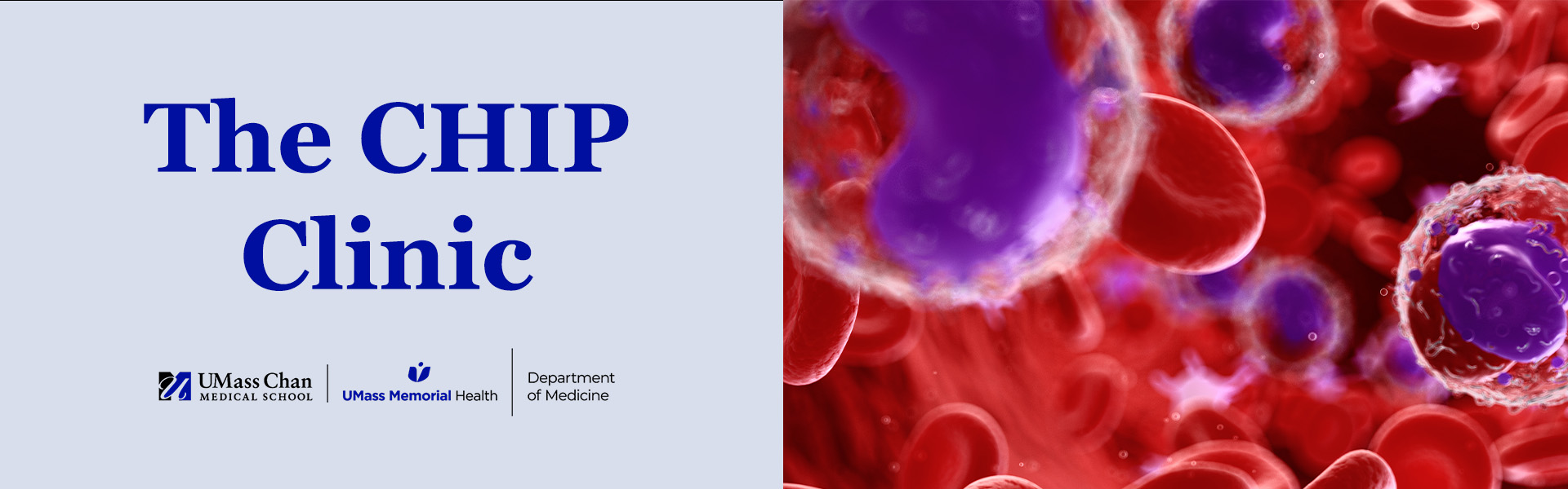 The CHIP Clinic, image of blood cancer cells in the body