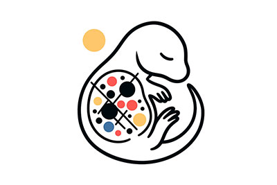 Fetal Hematopoiesis Atlas