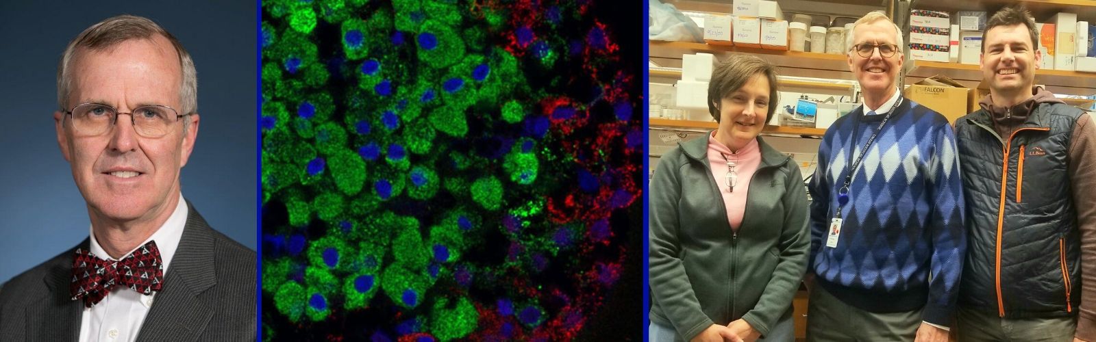 David Harlan, MD, UMass Diabetes Center of Excellence