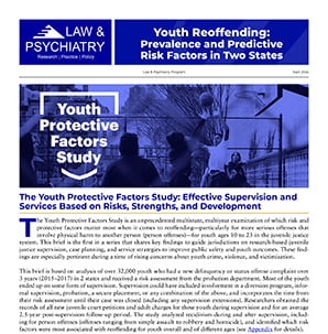 thumbnail of the brief