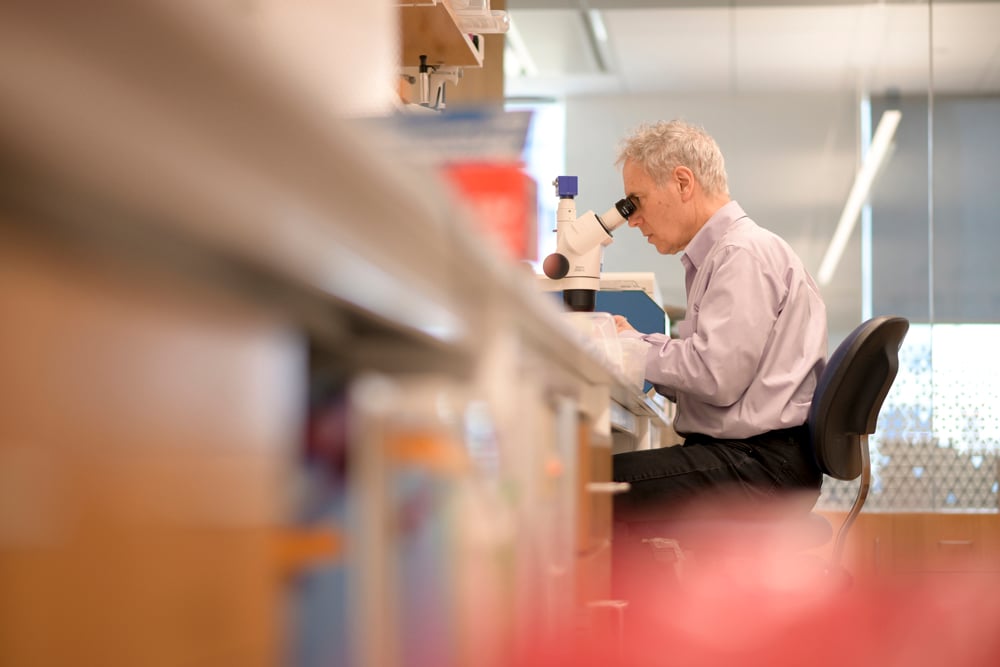 Victor Ambros looking into a microscope in his lab. He is sitting down. 