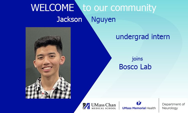 Jackson Nguyen volunteer intern in Bosco Lab