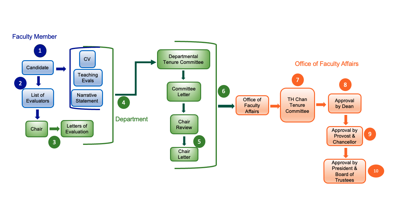 diagram of appointment process 