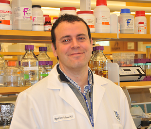 Washington Post: Ancient sheep help in quest for Tay-Sachs treatment